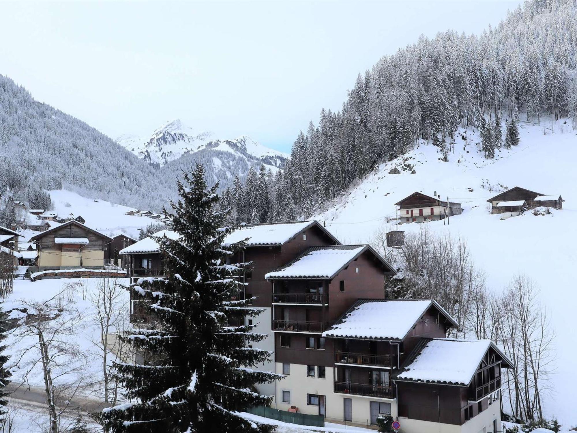 Appartement Cosy Pour 4-5 Personnes, Centre Village, Proche Pistes, Ascenseur, Bien Equipe - Fr-1-342-163 Areches Exterior photo